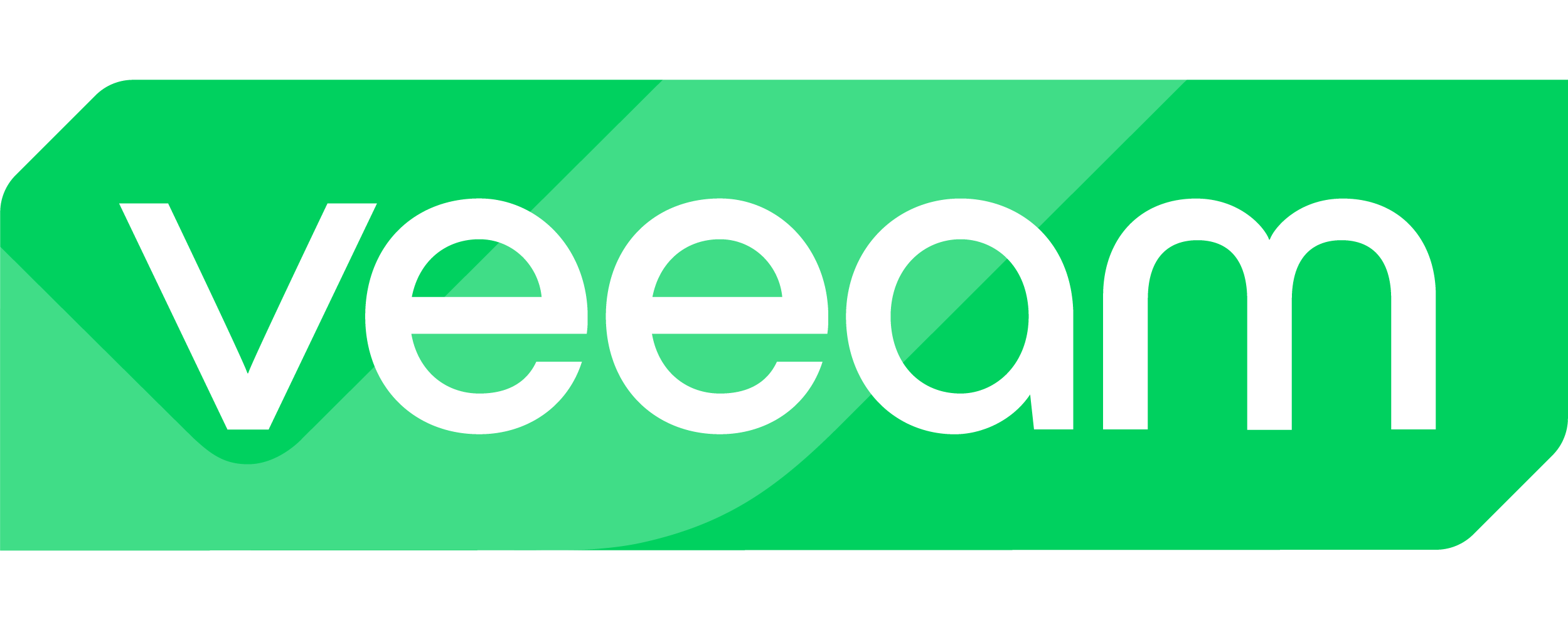 Veeam Software Logo